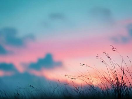 夕焼け空と草のシルエット1 夕焼け空と草のシルエット1の写真