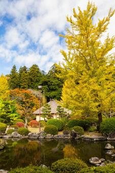 旧佐藤家住宅の秋⑽ 家,古民家,旧佐藤家住宅の写真素材