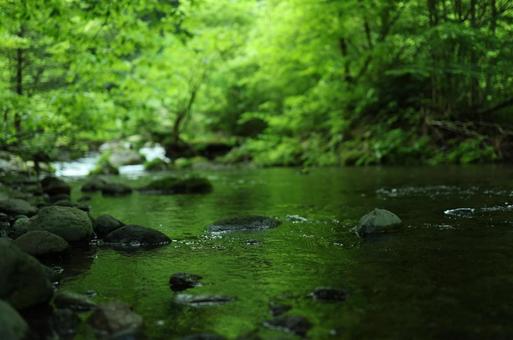 尚仁沢湧水 尚仁沢湧水の写真