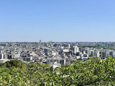 森と街並みと地平線 街並み,風景,市街地の写真素材