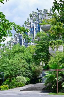 上海・天安千樹(1000trees) 上海・天安千樹(1000trees) 上海,天安千樹,1000treesの写真素材