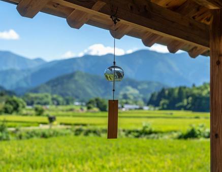 日本の夏の風景の写真