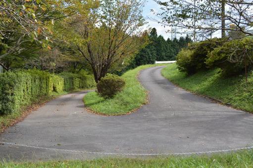 道 道の写真