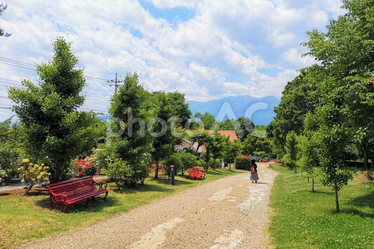 公園の風景-93（はいじの村） フラワーセンター,散歩道,小径の写真素材