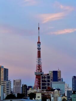 夕暮れの東京タワー 夕暮れ,夕方,夕陽の写真素材