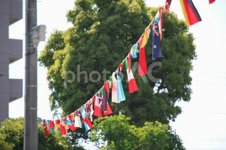 運動会の万国旗 運動会,万国旗,国旗の写真素材