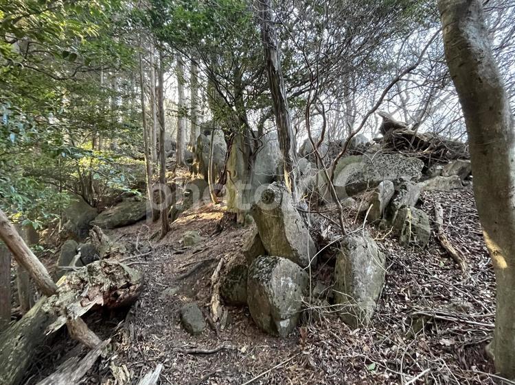 山の中の岩と木 風景,景色,送電線の写真素材
