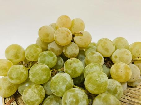 ぶどう(接写) ぶどう(接写) ぶどう,果物,食の写真素材