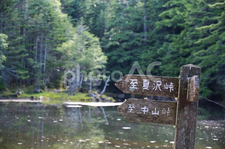 八ヶ岳のミドリ池の道標 道標,ミドリ池,八ヶ岳の写真素材