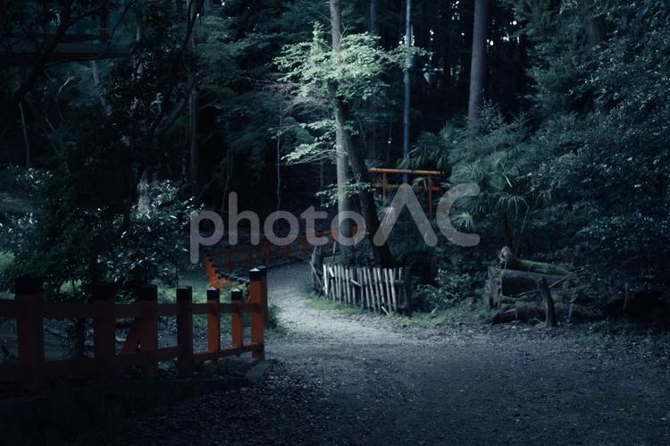 夜道 - No: 22449869｜写真素材なら「写真AC」無料（フリー）ダウンロードOK