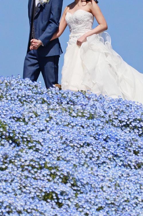 結婚やウェディングのイメージ 結婚,ウェディング,ウエディングの写真素材