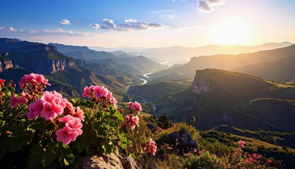 ゼラニウムの花の写真