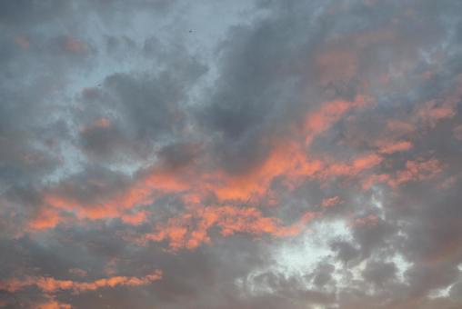 秋の空 秋の空の写真
