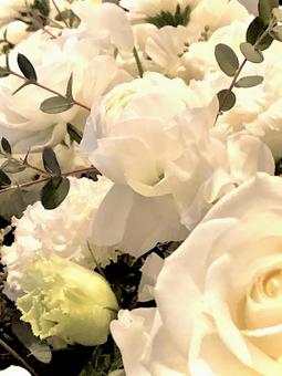 会場を彩る装花 01 会場を彩る装花 01 装飾花,薔薇,バラの写真素材