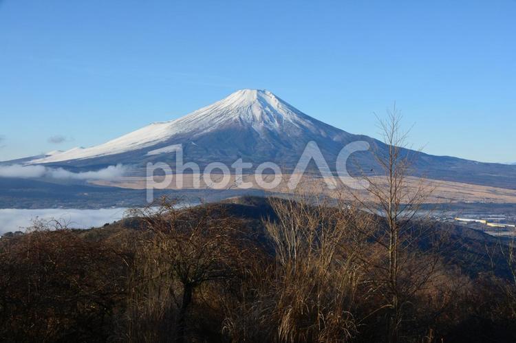 冬の石割山山頂から見た富士山 富士山,石割山,山頂の写真素材