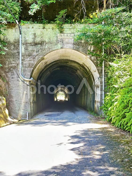 那智勝浦町湯川近辺の風景　トンネル 那智勝浦町湯川,街並み,自然の写真素材