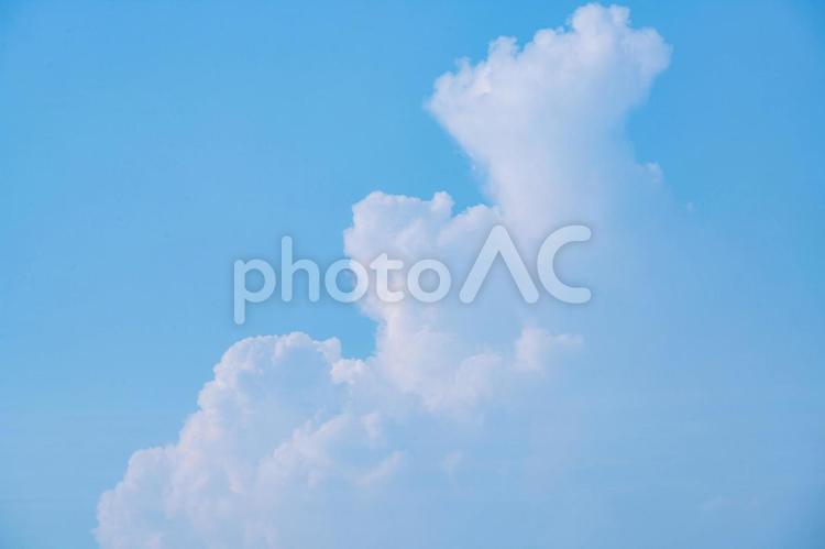 夏の青空と白い雲 雲,青空,空の写真素材