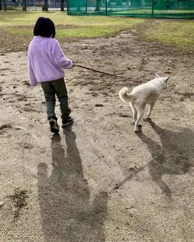 朝のお散歩 お散歩,犬,子供の写真素材