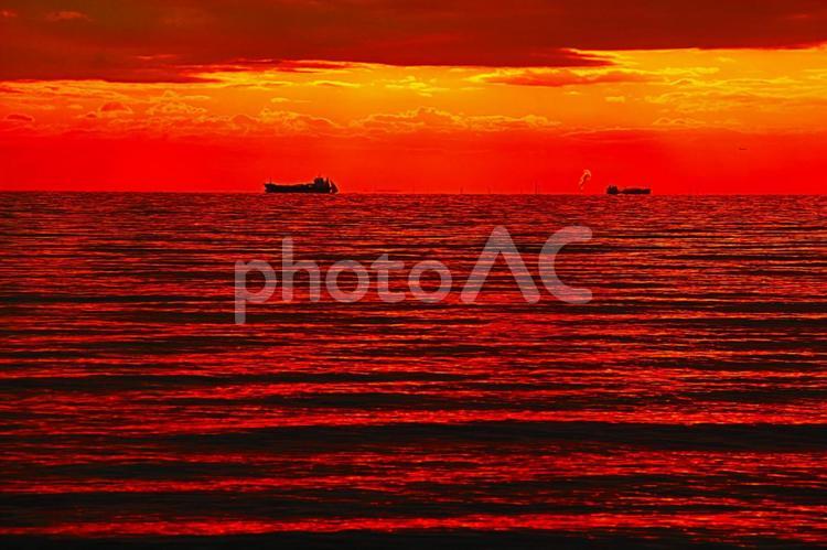 東京湾の夕焼け 東京湾,夕やけ,夕焼けの写真素材