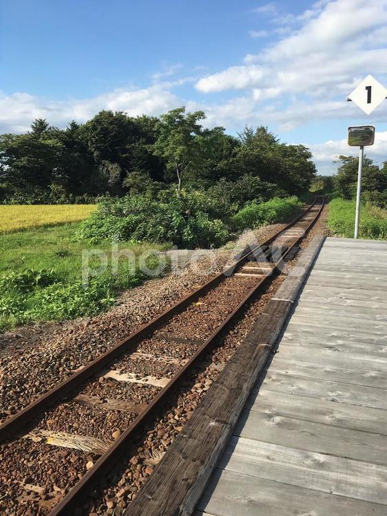 廃線の線路 線路,撮り鉄,廃線の写真素材