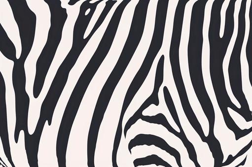 Zebra pattern background material 10, zebra, black and white, fashionable, JPG