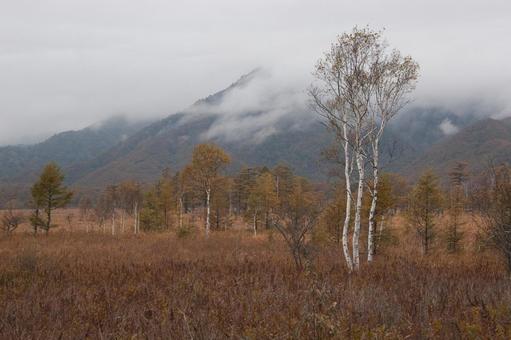 芳ヶ平湿原 芳ヶ平湿原 群馬,白根山,秋の写真素材