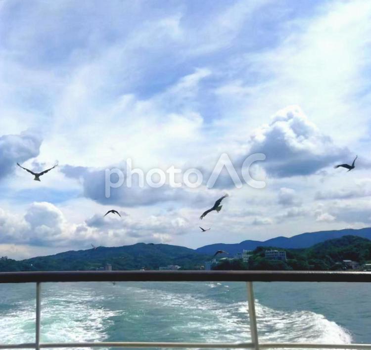 カモメと海と空 カモメ,海,空の写真素材