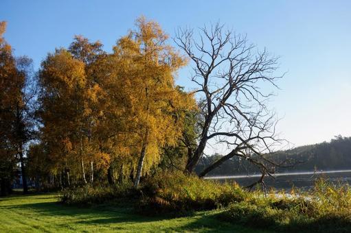 秋の湖畔1 秋の湖畔1 湖,紅葉,枝の写真素材