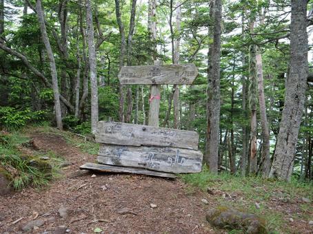 赤岳　真教寺尾根の登山道 赤岳,八ヶ岳,真教寺尾根の写真素材