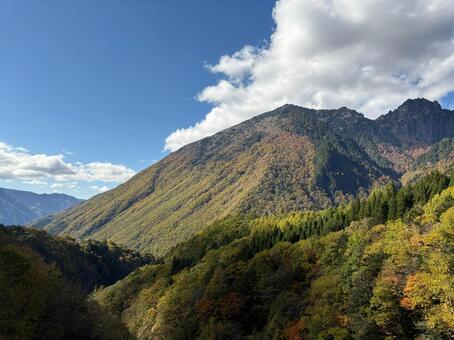 鮮やかな秋の山と雲が浮かぶ青空風景 秋,山,青空の写真素材