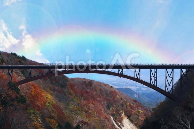 秋や紅葉のイメージ 秋,紅葉,もみじの写真素材