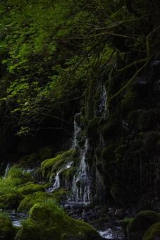 Mototaki Underground Water Vertical, JPG Mototaki Underground Water Vertical, JPG