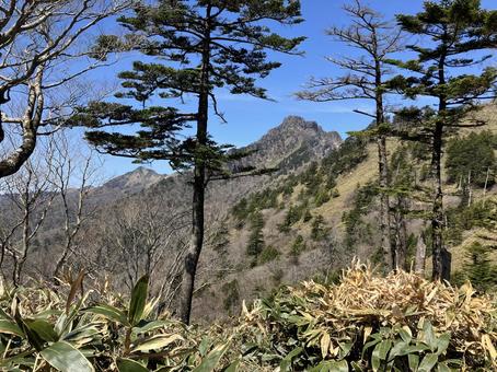 石鎚山山頂が見える 石鎚山山頂が見えるの写真