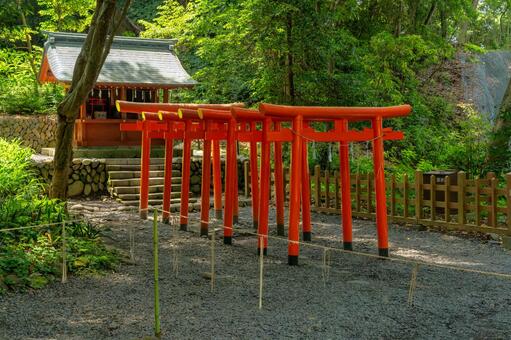 静岡　久能山東照宮　久能稲荷神社 久能山東照宮,久能山,東照宮の写真素材