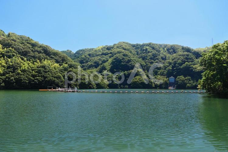 青空の下の山の中のダム湖 水,湖,風景の写真素材