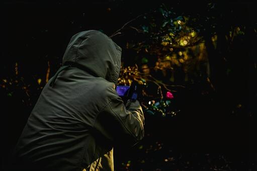 ＜素材＞冬の夕暮れの森で寒い椿を撮る女性 女性,寒椿,花の写真素材
