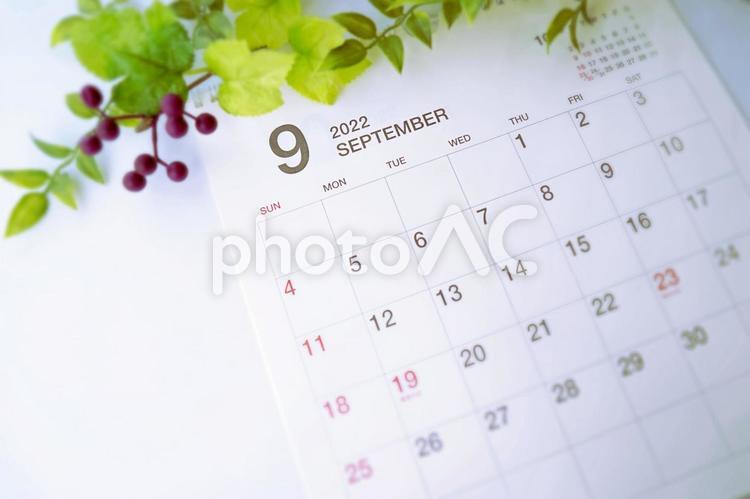 2022年9月のカレンダーと秋の植物２ 2022年,2022,9月の写真素材