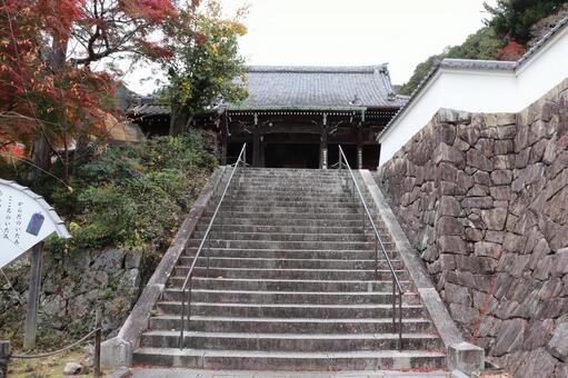 善峯寺　観音堂（本堂）への階段 善峯寺,観音堂,本堂の写真素材