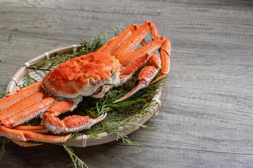 北海道産 大ズワイガニの皿盛り 大ズワイガニ,北海道産,ザル盛りの写真素材