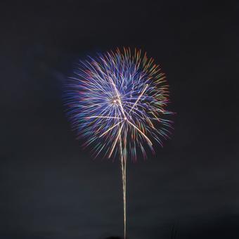 打上げ花火 打上げ花火 打上げ花火,花火,江戸川花火大会の写真素材