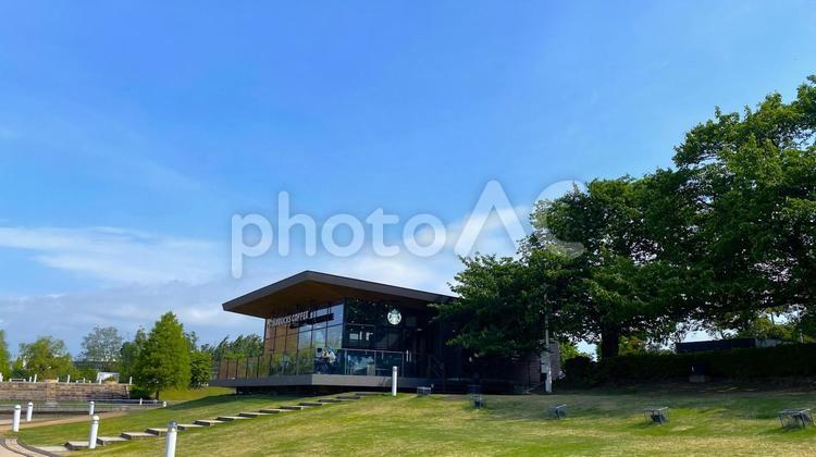 新緑の環水公園（富山） 環水公園,富山,運河の写真素材