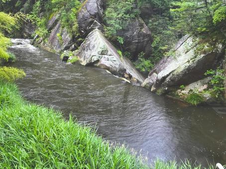 新緑の森を流れる苔むした渓流 渓流,川,水の写真素材
