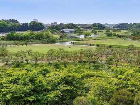 偕楽園 好文亭の楽寿楼から月池方面の眺望 偕楽園 好文亭の楽寿楼から月池方面の眺望 偕楽園,月池,好文亭の写真素材