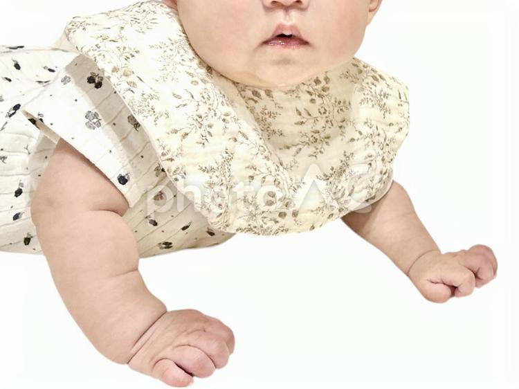 あかちゃんずりばい 赤ちゃん,ずりばい,はいはいの写真素材