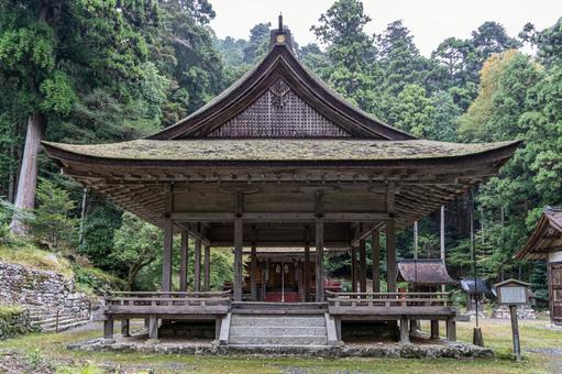 滋賀 日吉大社 西本宮 白山姫神社 拝殿 滋賀 日吉大社 西本宮 白山姫神社 拝殿 日吉大社,日枝社,日吉の写真素材