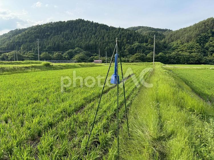 イノシシ対策　音で侵入防止 イノシシ対策,食害,侵入防止の写真素材