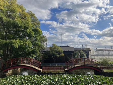 2本の橋 橋,2本,ブリッジの写真素材