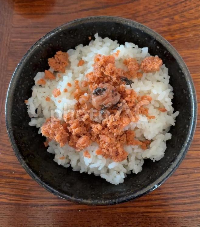 ご飯に鮭フレークとかつお梅の茶碗飯 茶碗飯,朝ご飯,ご飯の写真素材