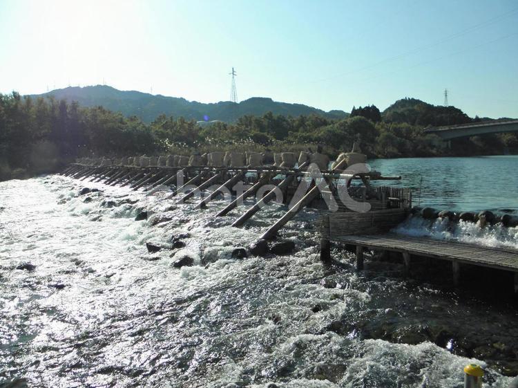 2013.11　延岡鮎やな やな,鮎,大瀬川の写真素材