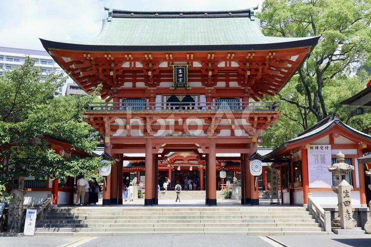 神戸　長田神社 日本,神戸,三宮の写真素材